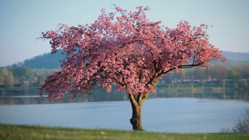 Народные приметы на 13 апреля 2024: что строго нельзя делать в этот день