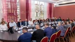 Безбарьерную среду в Южно-Сахалинске обсудили на заседании городского Совета по делам инвалидов
