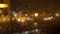 Небольшой дождь и северный ветер ожидаются на Сахалине 21 июня