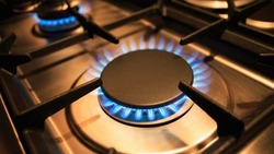 В Южно-Сахалинске ежегодно газифицируются порядка 1000 частных домовладений