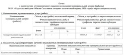 Отчёт о выполнении муниципального задания МАУ за 2021 год