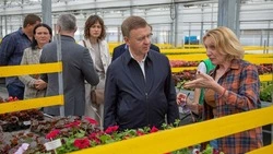 Сергей Надсадин обсудил с руководством cовхоза «Тепличный» вопросы озеленения города