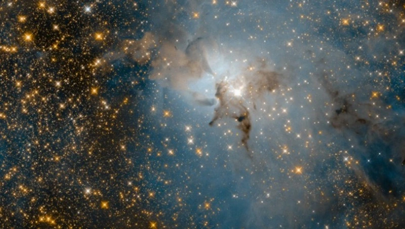 Гороскоп на 24 февраля 2024 года: советы астрологов на день