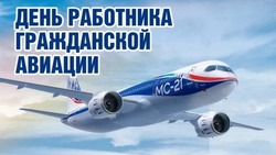 С Днем гражданской авиации 2025: открытки и картинки