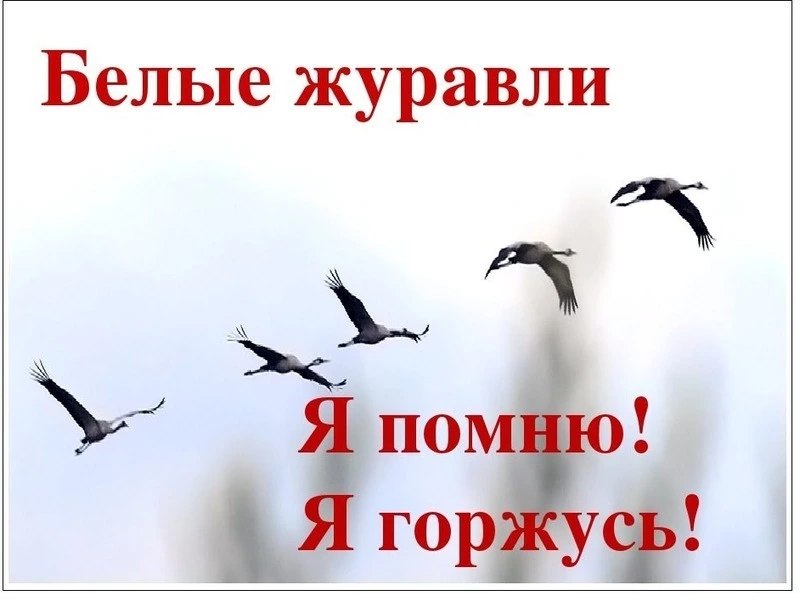 Праздник белых журавлей 2024: памятные картинки