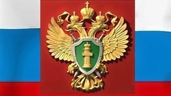 Красивые картинки с Днем работника прокуратуры 2024