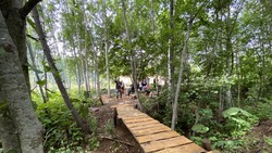 Сахалинский эколог выращивает на дальневосточном гектаре реликтовые деревья и проводит эскурсии 