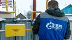 Сахалинские семьи активно используют материнский капитал для улучшения жизни и газификации домов  