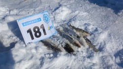 На фестивале «Сахалинский лед - 2023» испытала удачу команда местных журналистов