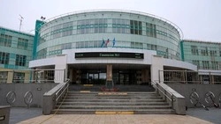 В Южно-Сахалинске продолжается серия школьных телемостов с Китаем 