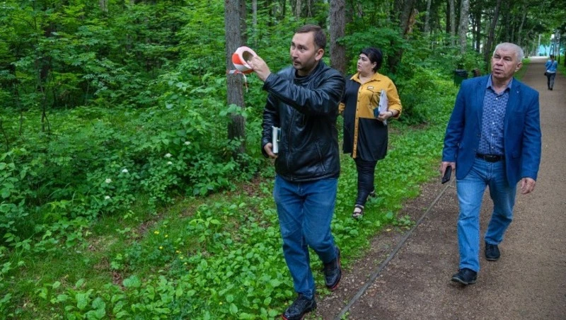 В городском парке культуры и отдыха ликвидируют аварийные деревья