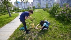 В Южно-Сахалинске в 2023 году для подростков открыто около 4 тысяч вакансий 