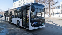 Современные автобусы, «Орланы» и ТПУ изменили транспортную инфраструктуру Южно-Сахалинска