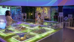 Неделя Южно-Сахалинска открылась на выставке «Сахалинские традиции»