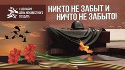 День Неизвестного Солдата 2024: картинки 
