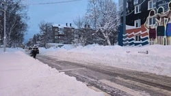 Сильный ветер и снег вновь вернутся на Сахалин — погода на неделю с 8 по 14 февраля