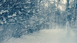 Метель и -4 градуса ожидается на Сахалине 29 января