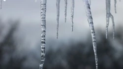 Народные приметы на 8 марта 2024: что строго нельзя делать в этот день