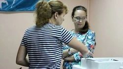  Более 200 наблюдателей подготовили к выборам 10 сентября на Сахалине и Курилах