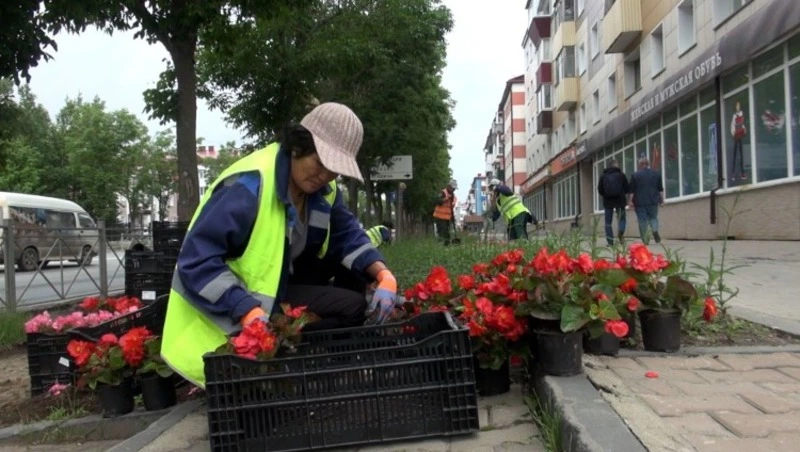 Бережный подход: цветы с клумбы на улице Ленина пересаживают на время ремонта 