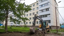 В ходе капитального ремонта двора по улице Науки будут высажены новые деревья