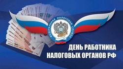 С Днем работника налоговых органов 2024: картинки и открытки