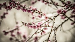 28 февраля 2024: какие сегодня праздники отмечают