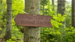 Участники южно-сахалинского образовательного форума отправятся в поход по экологической тропе