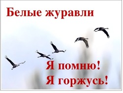 Праздник белых журавлей 2024: памятные картинки