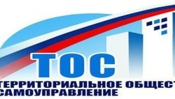 Южно-сахалинским ТОС  помогают воплощать в жизнь полезные инициативы 