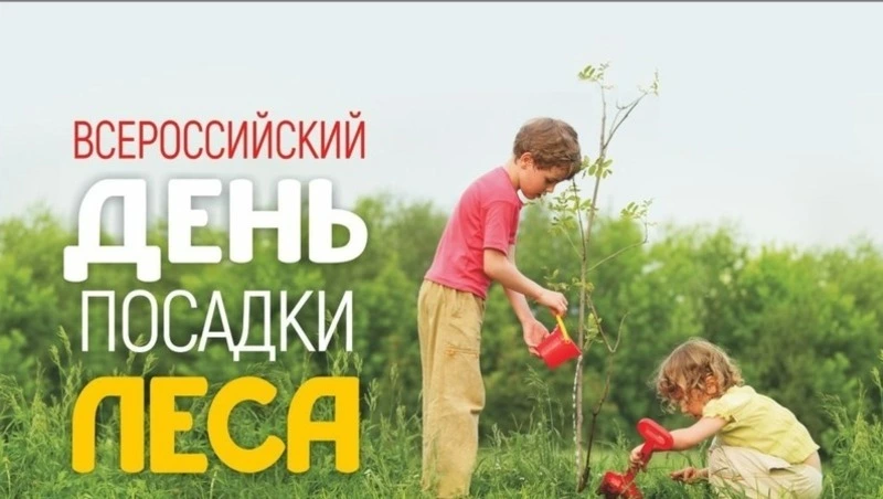 Всероссийский день посадки леса 2025: красивые открытки 