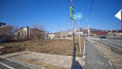 Сквер Защитников Отечества планируют открыть в Южно-Сахалинске осенью 2024 года