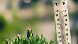 Каким будет лето 2025 года: прогнозы специалистов