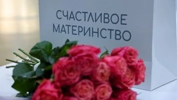 Будущим мамам Сахалинской области помогут получить образование и найти работу