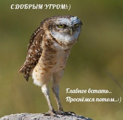 Позитивные картинки с добрым утром — бесплатно 