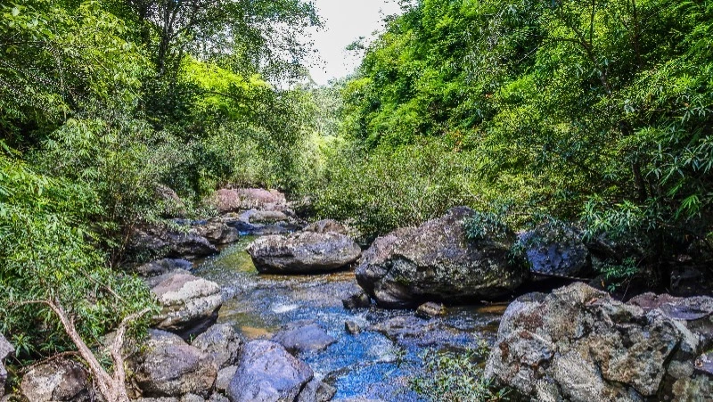 Народные приметы на 6 июля 2024: что строго нельзя делать в этот день