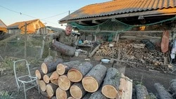 Сахалинские активисты берут шефство над семьями участников СВО