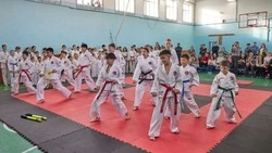 В Южно-Сахалинске состоялся турнир боевых искусств памяти бойцов СВО