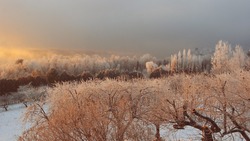 Прогноз погоды в Сахалинской области на неделю с 30 декабря по 5 января