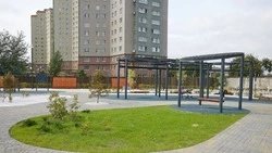 Новый сквер на проспекте Мира уже радует южносахалинцев