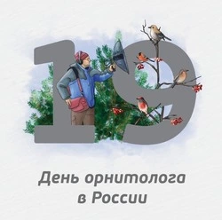 Картинки на День орнитолога 2025