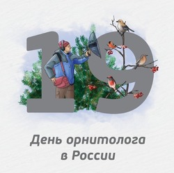 Картинки на День орнитолога 2025