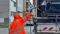 В Южно-Сахалинске приведут в порядок больше тысячи мусорных контейнеров