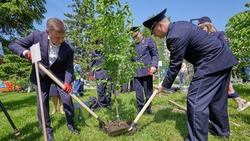В Сквере памяти защитников правопорядка в день открытия высадили деревья