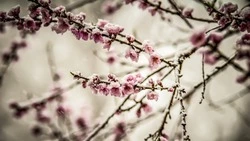 28 февраля 2024: какие сегодня праздники отмечают