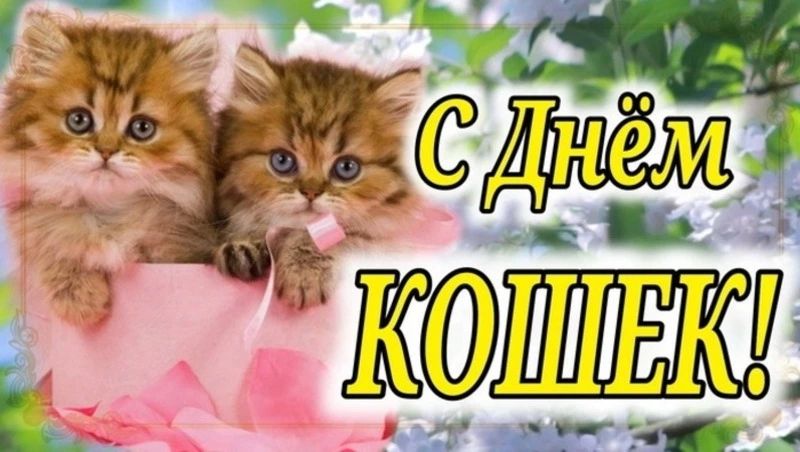 Открытки с Днем кошек 2025