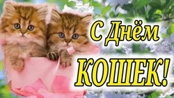 Открытки с Днем кошек 2025