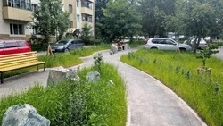 Сахалинцев пригласили принять участие в конкурсе «Блогеры благоустройства»
