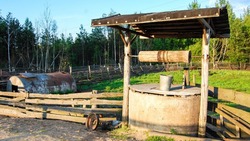 Фотинья Колодезница: что нельзя делать 2 апреля 2025 года