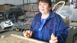 С птицей по жизни